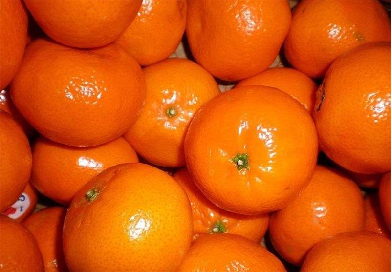 ورود نارنگی قاچاق پاکستان با قیمت کیلویی۷ هزار تومان