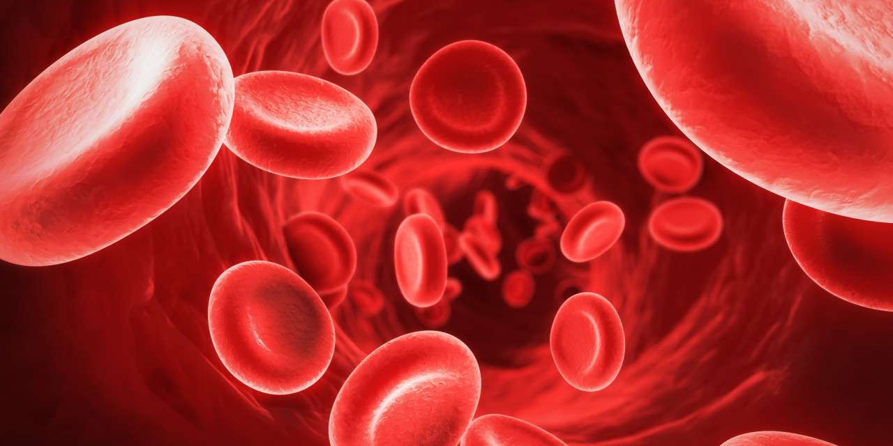 معجون خون ساز جادویی برای درمان کم خونی+دستورالعمل